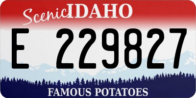 ID license plate E229827