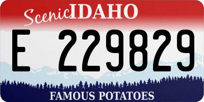 ID license plate E229829