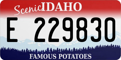 ID license plate E229830