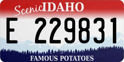 ID license plate E229831