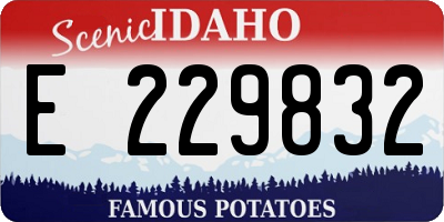 ID license plate E229832