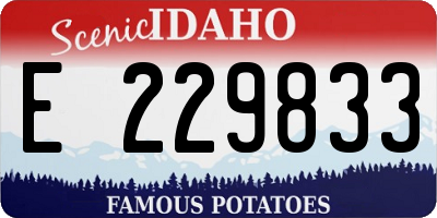 ID license plate E229833