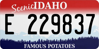 ID license plate E229837