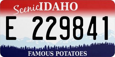 ID license plate E229841