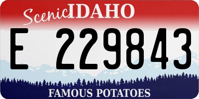 ID license plate E229843