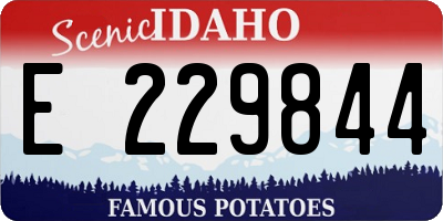 ID license plate E229844