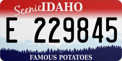 ID license plate E229845
