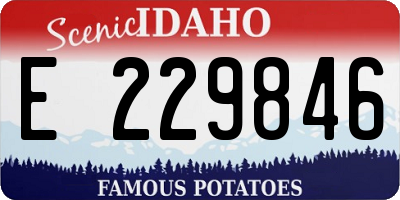 ID license plate E229846