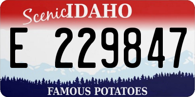 ID license plate E229847
