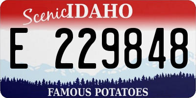 ID license plate E229848