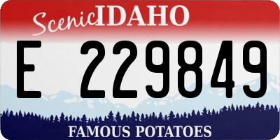 ID license plate E229849
