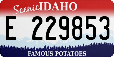 ID license plate E229853