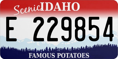 ID license plate E229854