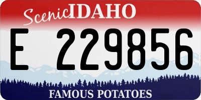 ID license plate E229856