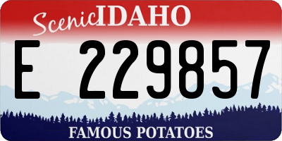 ID license plate E229857