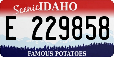 ID license plate E229858