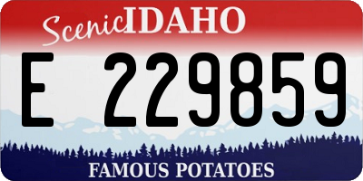 ID license plate E229859