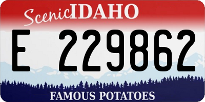 ID license plate E229862