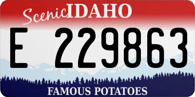 ID license plate E229863