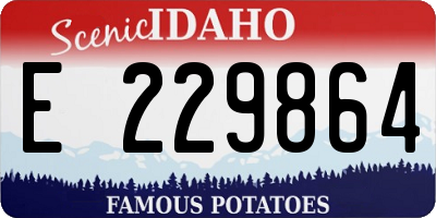 ID license plate E229864
