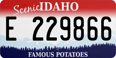 ID license plate E229866