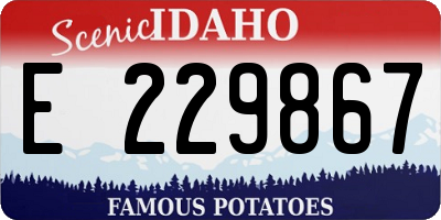ID license plate E229867