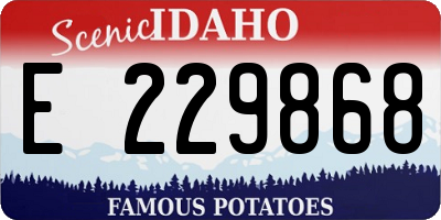 ID license plate E229868