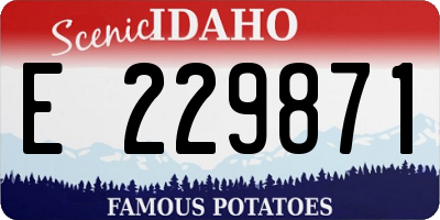 ID license plate E229871