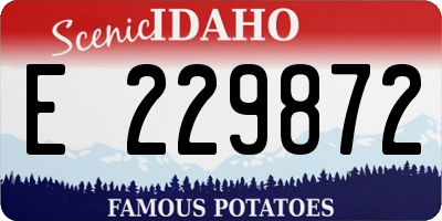 ID license plate E229872