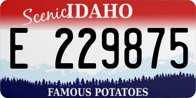 ID license plate E229875