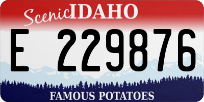 ID license plate E229876