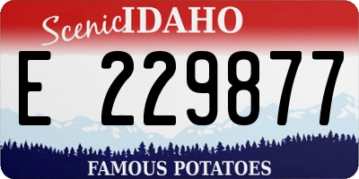 ID license plate E229877