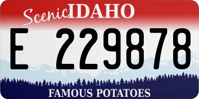 ID license plate E229878