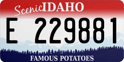 ID license plate E229881