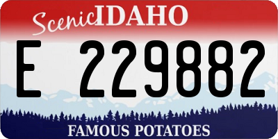 ID license plate E229882