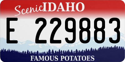 ID license plate E229883