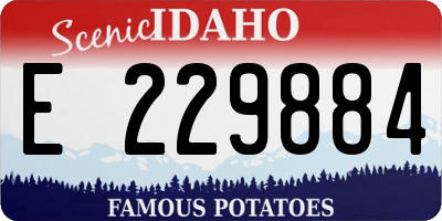 ID license plate E229884