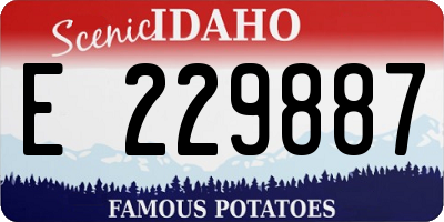 ID license plate E229887