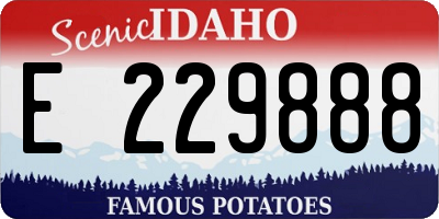 ID license plate E229888