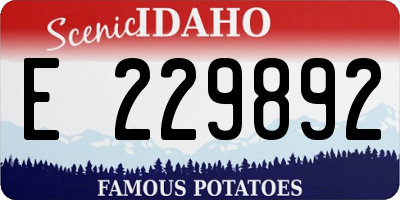 ID license plate E229892
