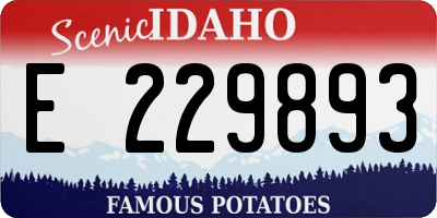 ID license plate E229893
