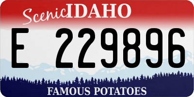 ID license plate E229896