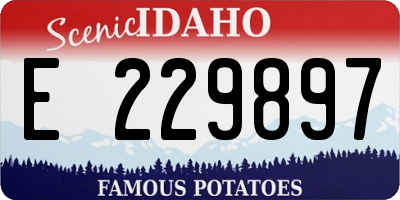 ID license plate E229897