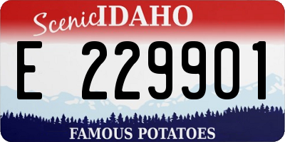 ID license plate E229901