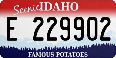 ID license plate E229902