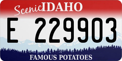 ID license plate E229903