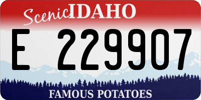 ID license plate E229907