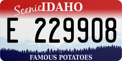 ID license plate E229908