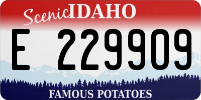 ID license plate E229909