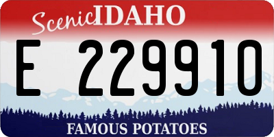 ID license plate E229910